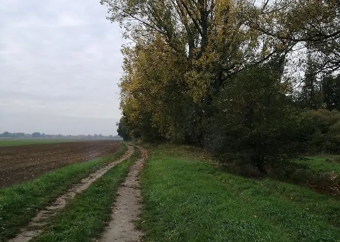 Monteurzimmer Lejlighed